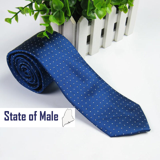 Blue polka dot tie 502