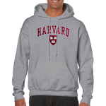 Harvard hoodie 5683